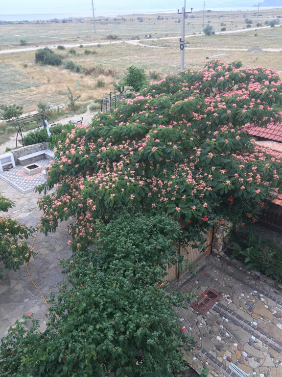 Гостиница Гостиный дом на Меганоме Судак-30