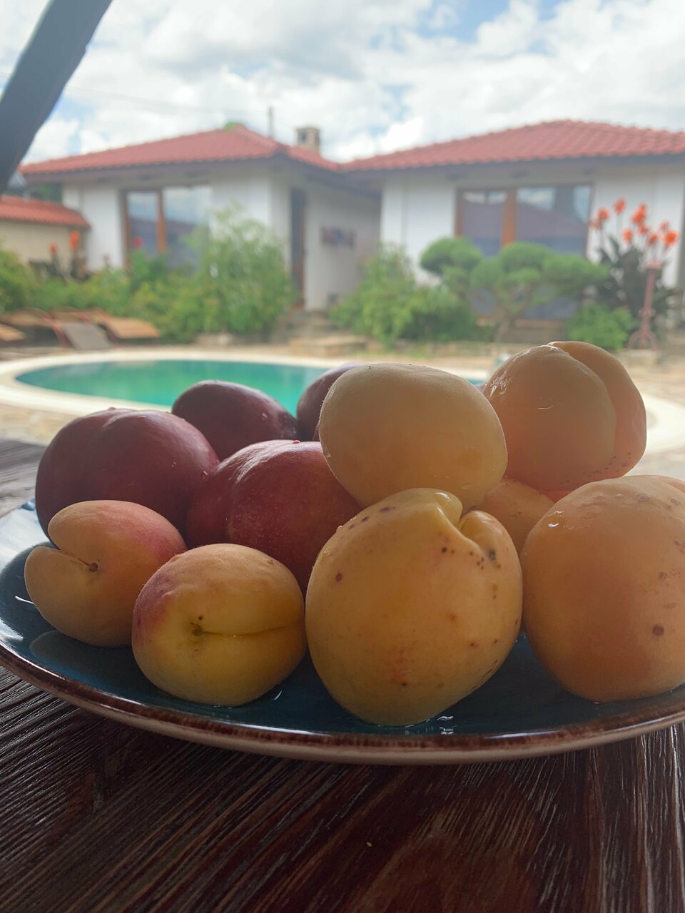 Гостиница Гостиный дом на Меганоме Судак-28