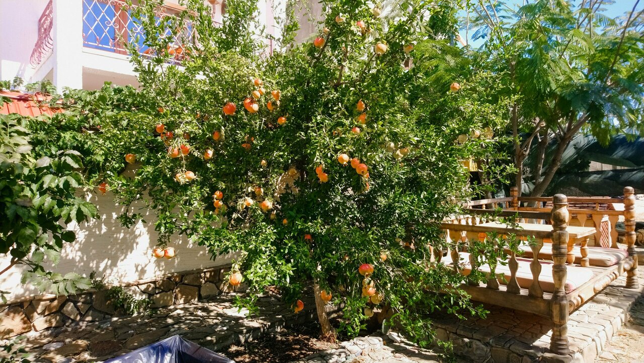 Гостиница Гостиный дом на Меганоме Судак-50