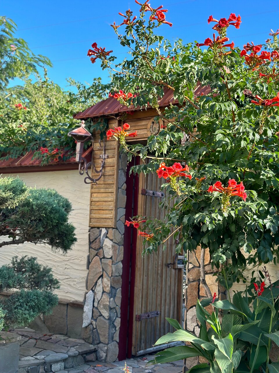 Гостиница Гостиный дом на Меганоме Судак-21