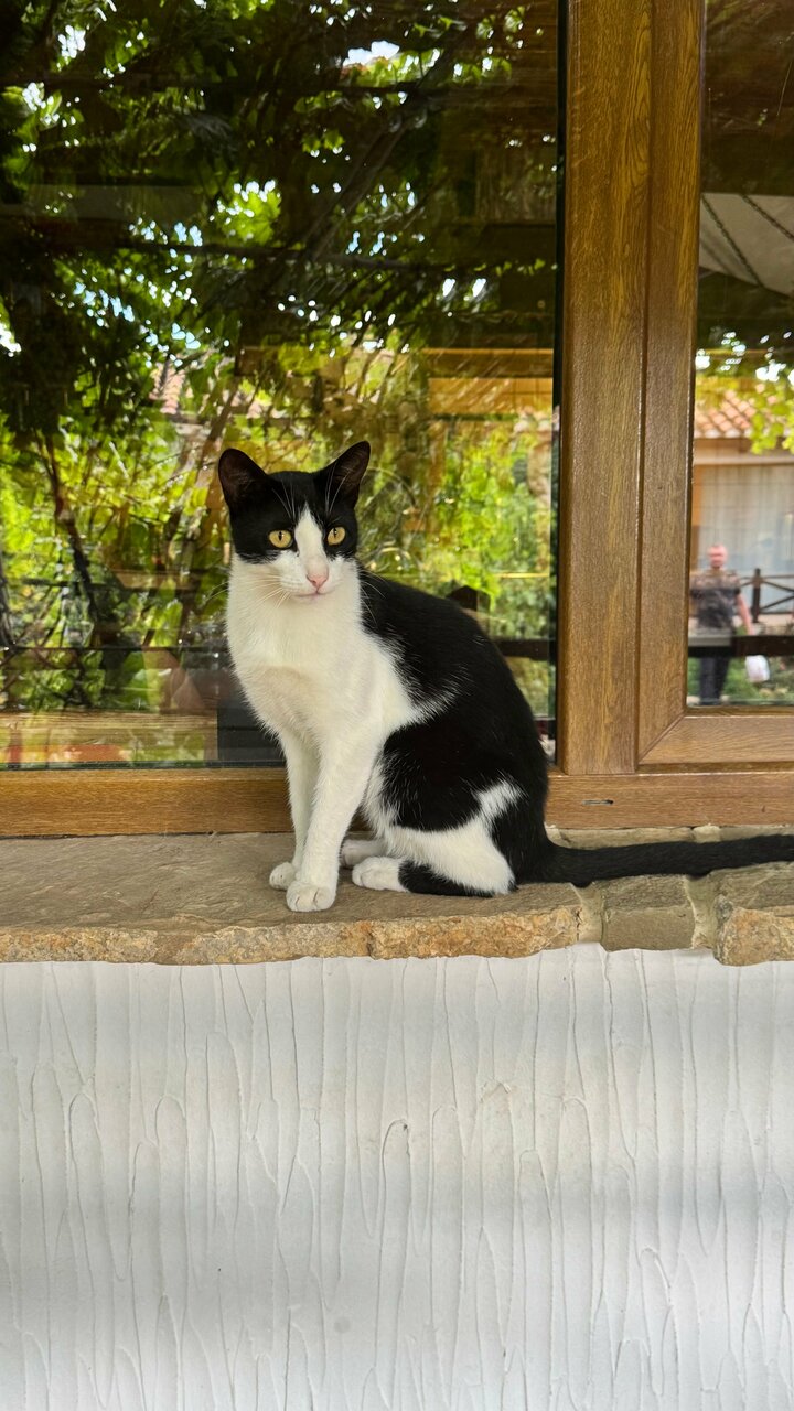 Гостиница Гостиный дом на Меганоме Судак-118