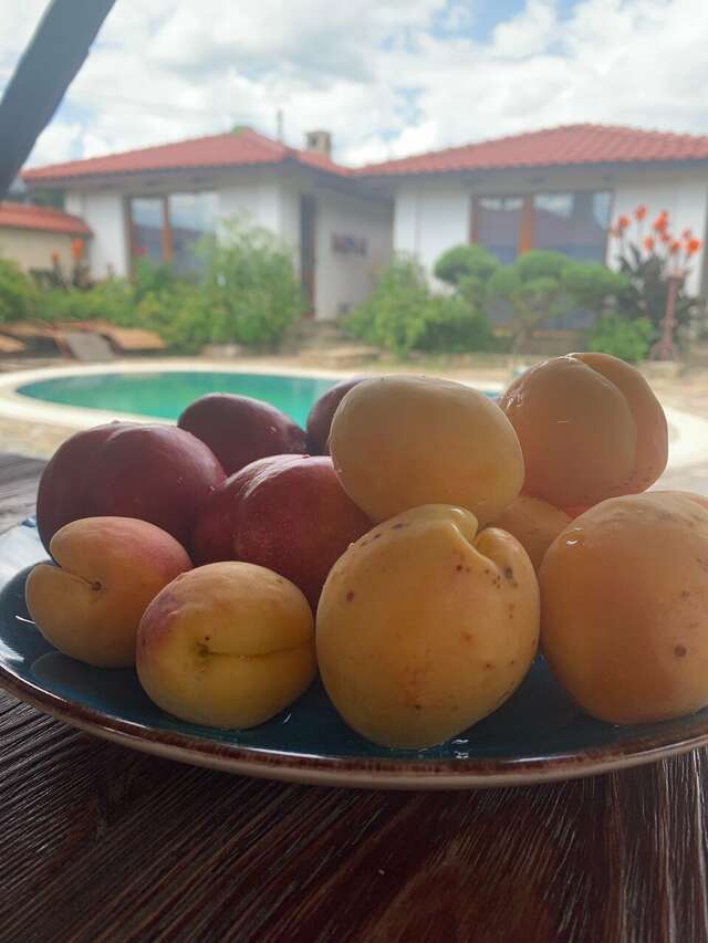 Гостиница Гостиный дом на Меганоме Судак-27