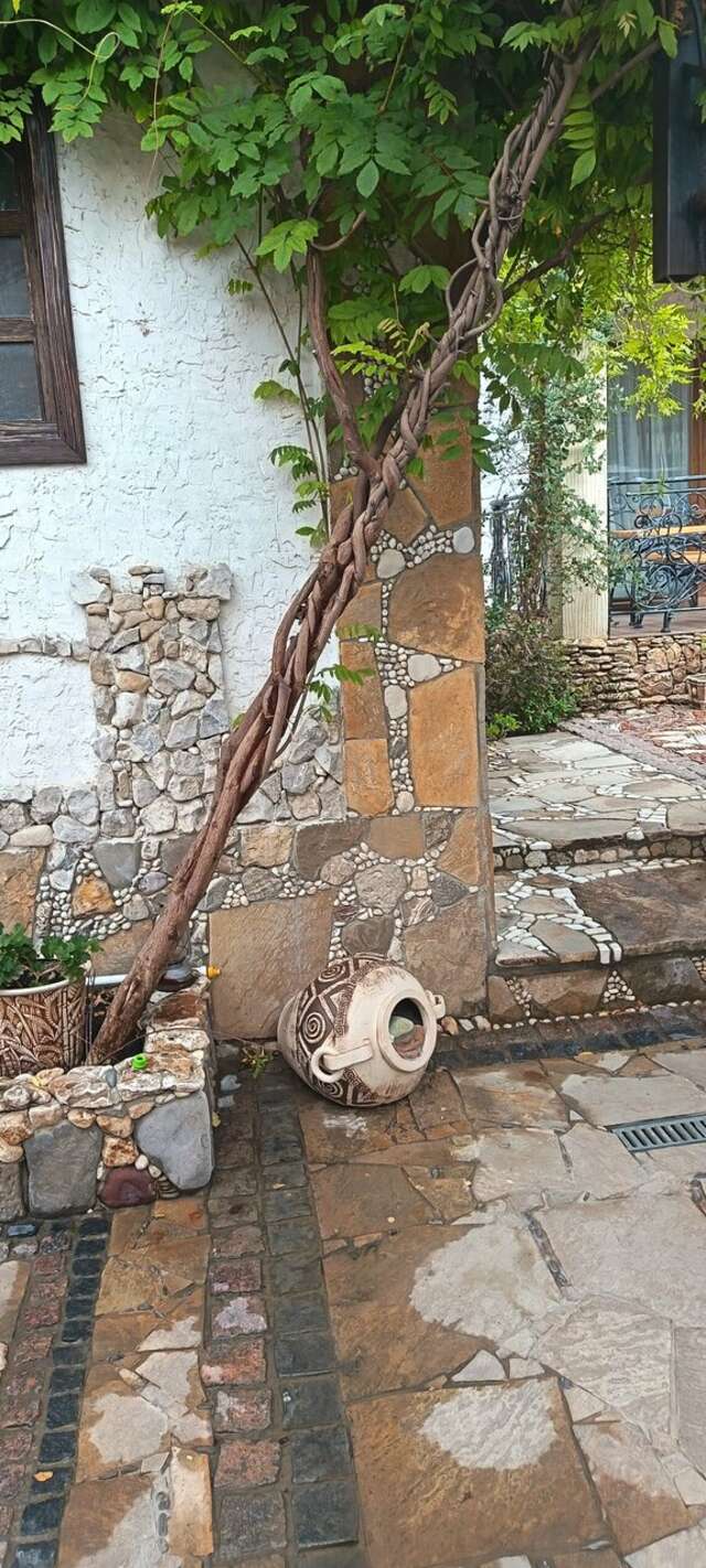 Гостиница Гостиный дом на Меганоме Судак-122