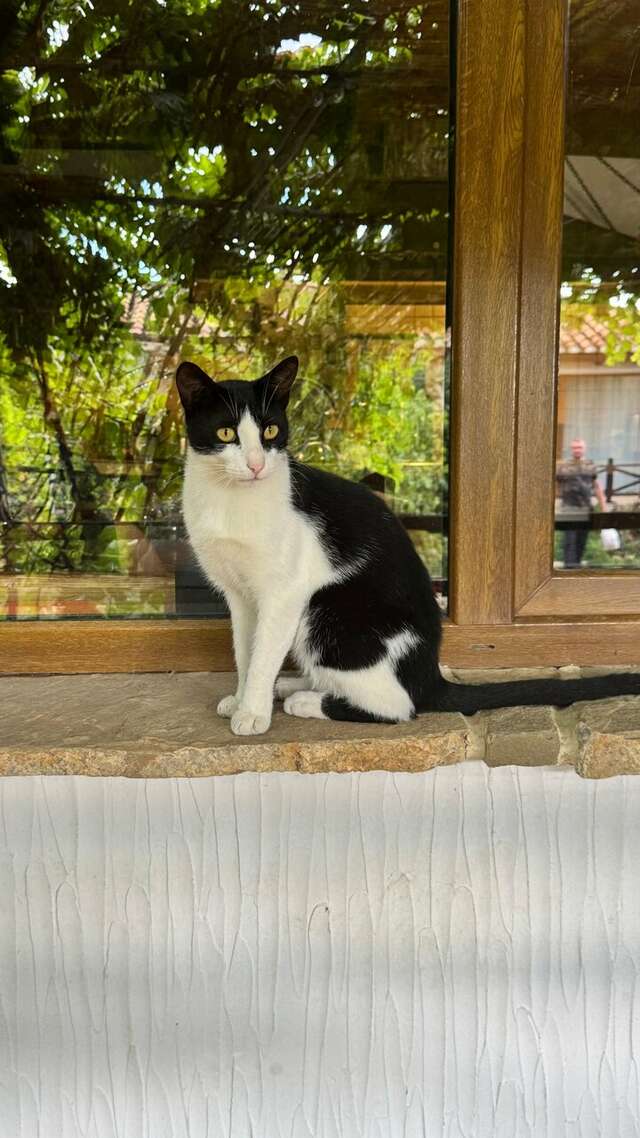 Гостиница Гостиный дом на Меганоме Судак-117