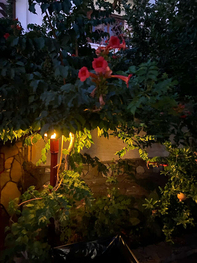 Гостиница Гостиный дом на Меганоме Судак-112